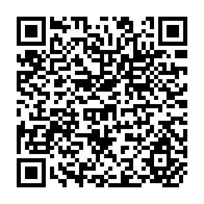 QR Code for Input Output Analysis in Developing Countries