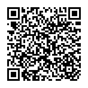 QR Code for Paractical Evaluation