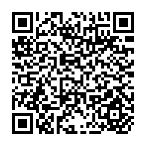 QR Code for Monitoring and Evaluation of Agriculture and Rural Development Projects