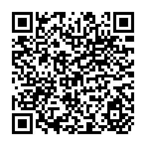 QR Code for Preliminary material and interim research results circulated to stimulate discussion and critical comment