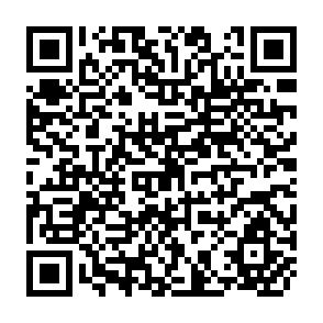 QR Code for A Critical Survey of the Literature on Farmers' Decision Making