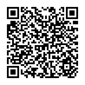 QR Code for Design Parameters Affecting the Performance of the IRRI-Designed Axial-flow Pump