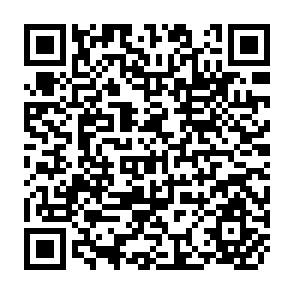 QR Code for Government Policy and Food Imports; The Case of Wheat in Egypt