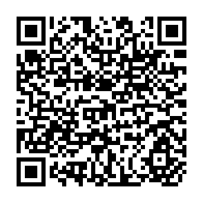 QR Code for Feasibility Study On The Establishment Of An Asian And Pacific Information Network On Medicinal And Aromatic Plants(APINMAP)