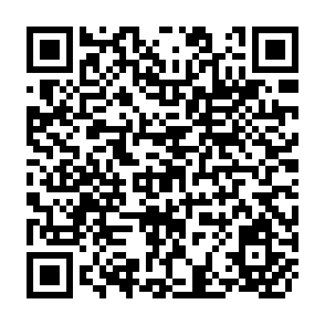 QR Code for A Development Monitoring Service at the Local Level
