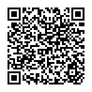 QR Code for Systems of Price Support and Procument of Major Agricultural Commodities in Selected Asian Countries -Rice and Corn - Indonesia