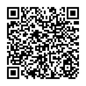QR Code for Systems of Rice Support and Procument of Major Agricultural Commodities in Selected Asian Countries - Rice and Corn in Philippines