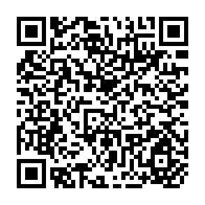 QR Code for Morphological Changes in Rice Pancicle Development