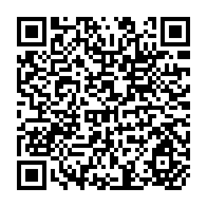 QR Code for The Case For Bureaucracy