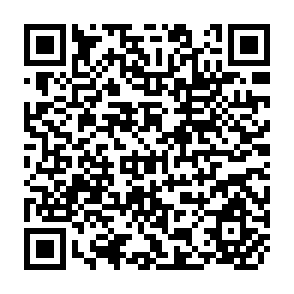 QR Code for The Human Side of Organizations